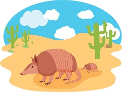 two armadillos surrounded by cactus in desert