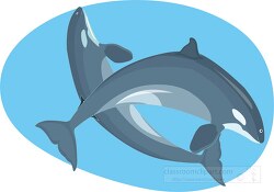 Two dolphins swimming clip art