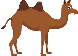 two humped brown camel clipart