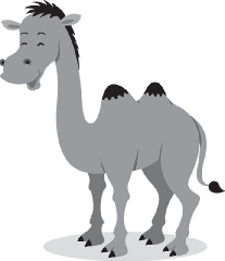 two humped camel cartoon style gray color