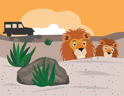 two lions hiding from safari jeep in africa clipart image