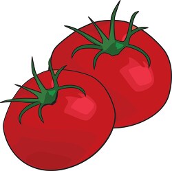 two ripe tomatoes clipart