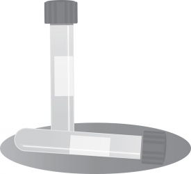 two science vials with lids vector gray color