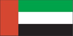 United Arab Emirates flag flat design clipart