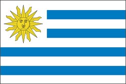 Uruguay flag flat design clipart