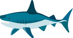 vector illustration of white shark clipart