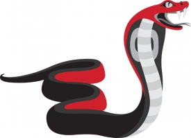 venomous brown cobra snake clip art graphic