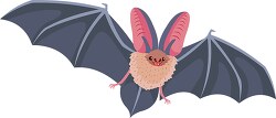 virginia big eared bat