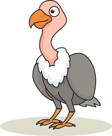 vulture bird cartoon style clipart