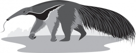 walking anteater animal gray color