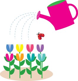 watering flowers with garden watering can clipart