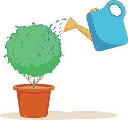 watering small tree in panter plant clipart
