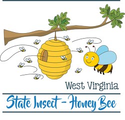 west virginia insect the honey bee clipart image