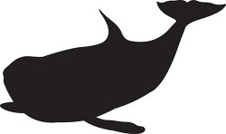 whale silhouette clipart