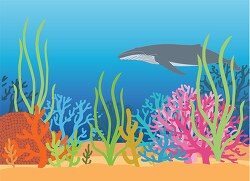 whale swimming under ocean coral reefs clipart