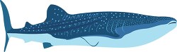 whale-shark-marine-life-clipart