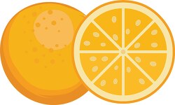 whole and half orange fruit slice clipart image vector style