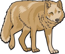 wolf animal clipart