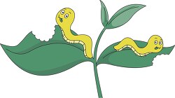 worms eating plant leaf clipart