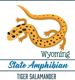 wyoming state amphibian the tiger salamander clipart image