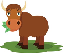 yak eating green leaves clipart