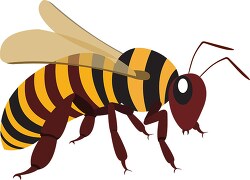 yellow black honey bee clipart