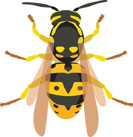 yellow black hornet insect clipart