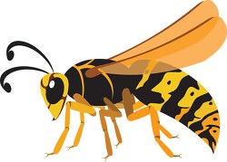 yellow black wasp insect clipart