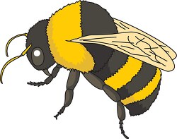 yellow bumble bee clipart