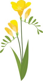 yellow freesia flower with leaf clipart image
