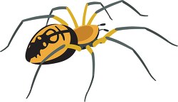 yellow garden spider insect clipart