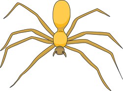 yellow spider clipart