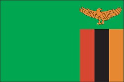 Zambia flag flat design clipart