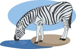 zebra at watering hole clipart
