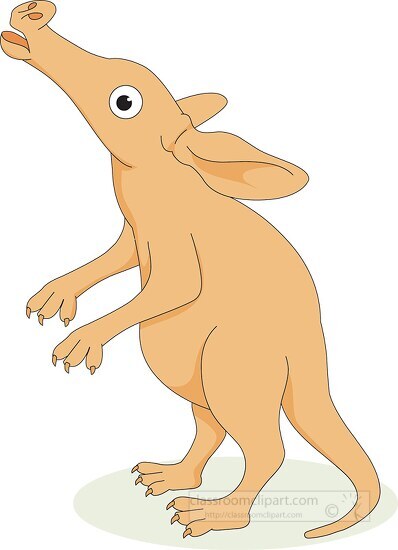 aardvark standing on back legs