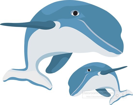 adult and baby dolphin together vector clipart