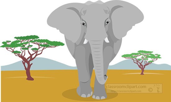 african elephant in an african savanna clipart