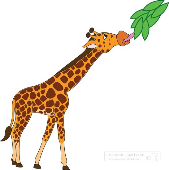 african giraffe clipart