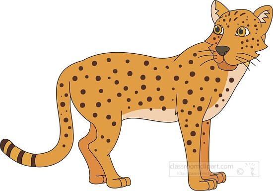 Leopard Clipart-african leopard clipart