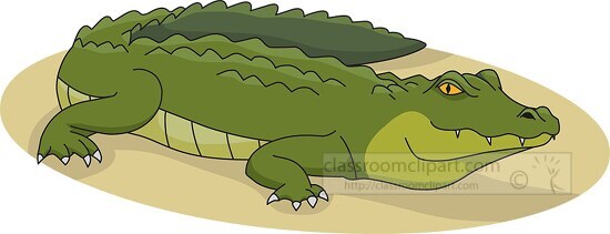 alligator side view clipart