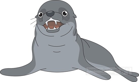 angry seal showing teeth clipart