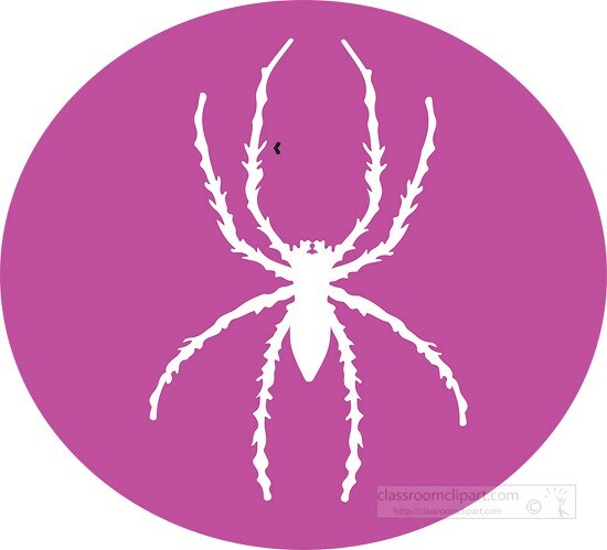 animal spider round icon clipart