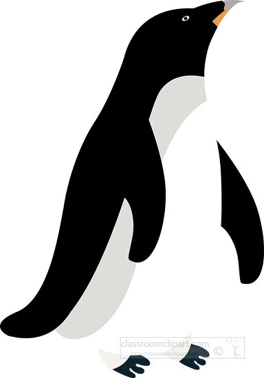 antarctic adelie penguin vector clipart