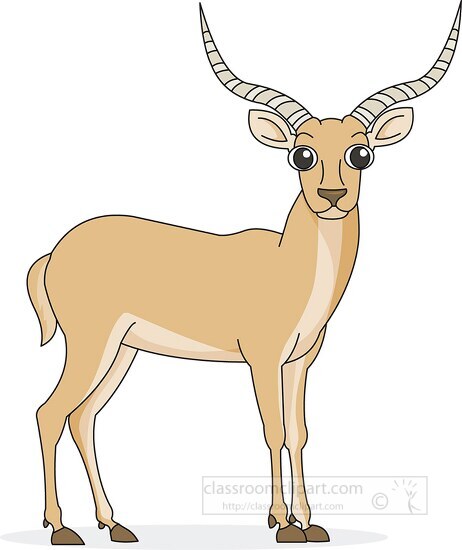 antelope with big eyes