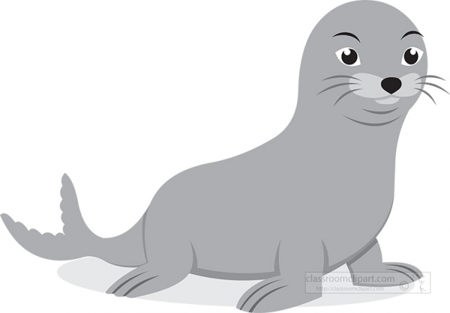 aquatic mammal seal gray clipart