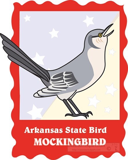 arkansas state bird mockingbird 2