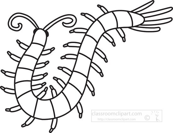 arthropod millipede black white outline cliprt