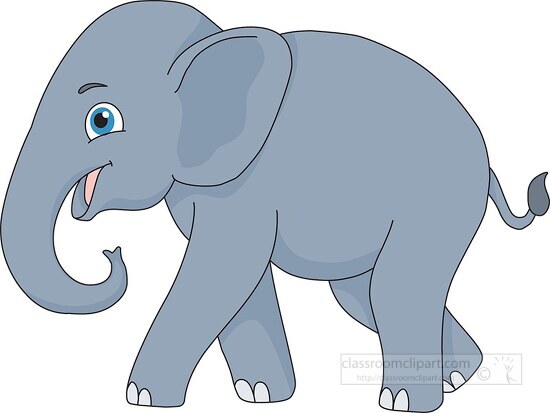asian elephant 914