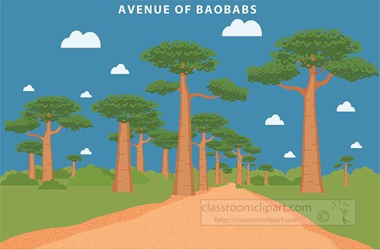 avenue of the baobabs madagascar africa clipart