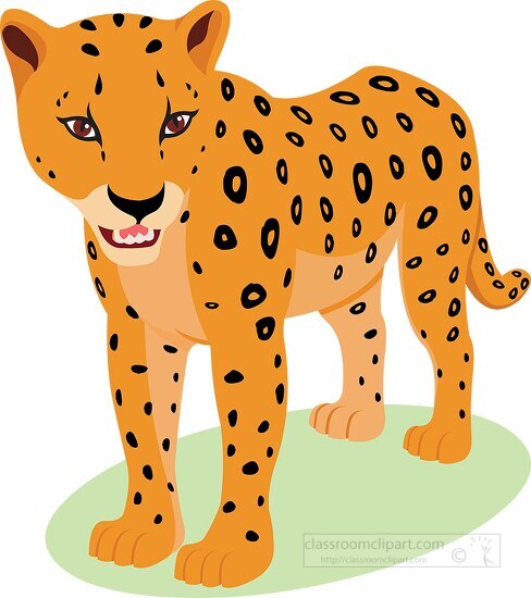 baby leopard standing graphic image clipart